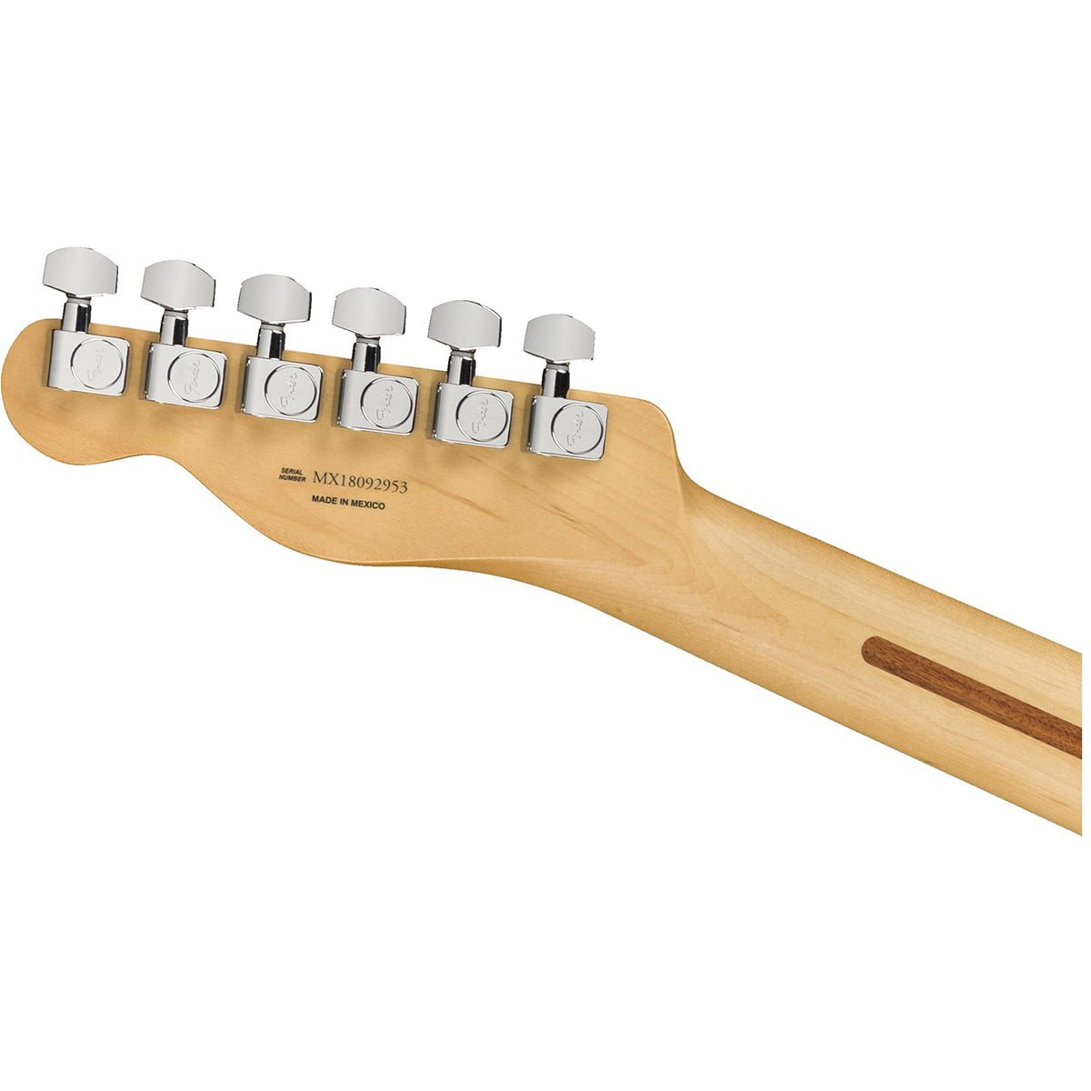 Fender Player Telecaster_0145212515_gtr_hdstckbck
