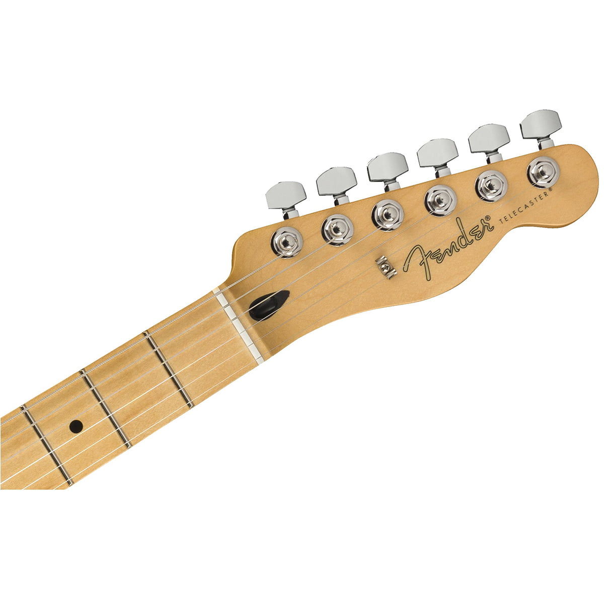 Fender Player Telecaster_0145212515_gtr_hdstckfrt