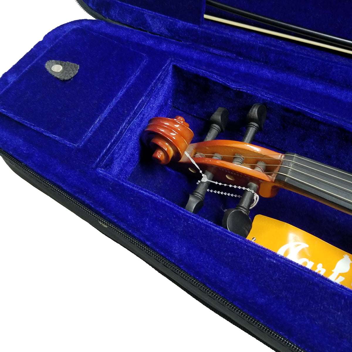 Viola 16 1-2 Skylark head Viola 16 1-2 Skylark head