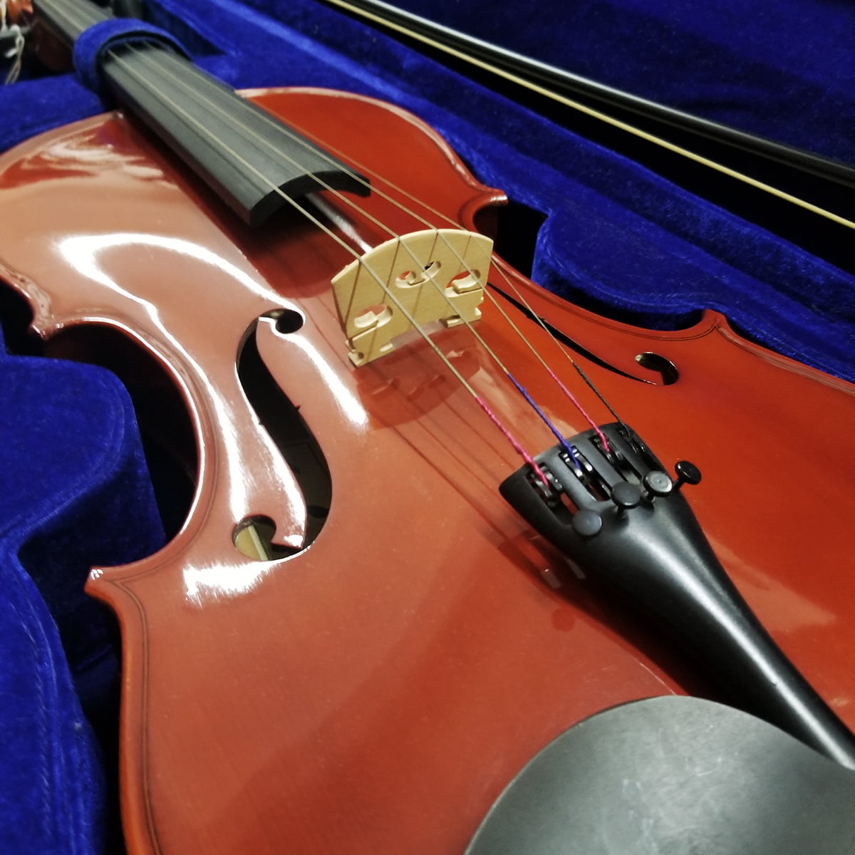 Viola 16 1-2 Skylark zoom Viola 16 1-2 Skylark zoom