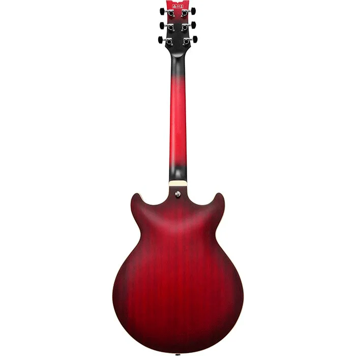 Ibanez AM53 Artcore Semi-Hollowbody Espalda