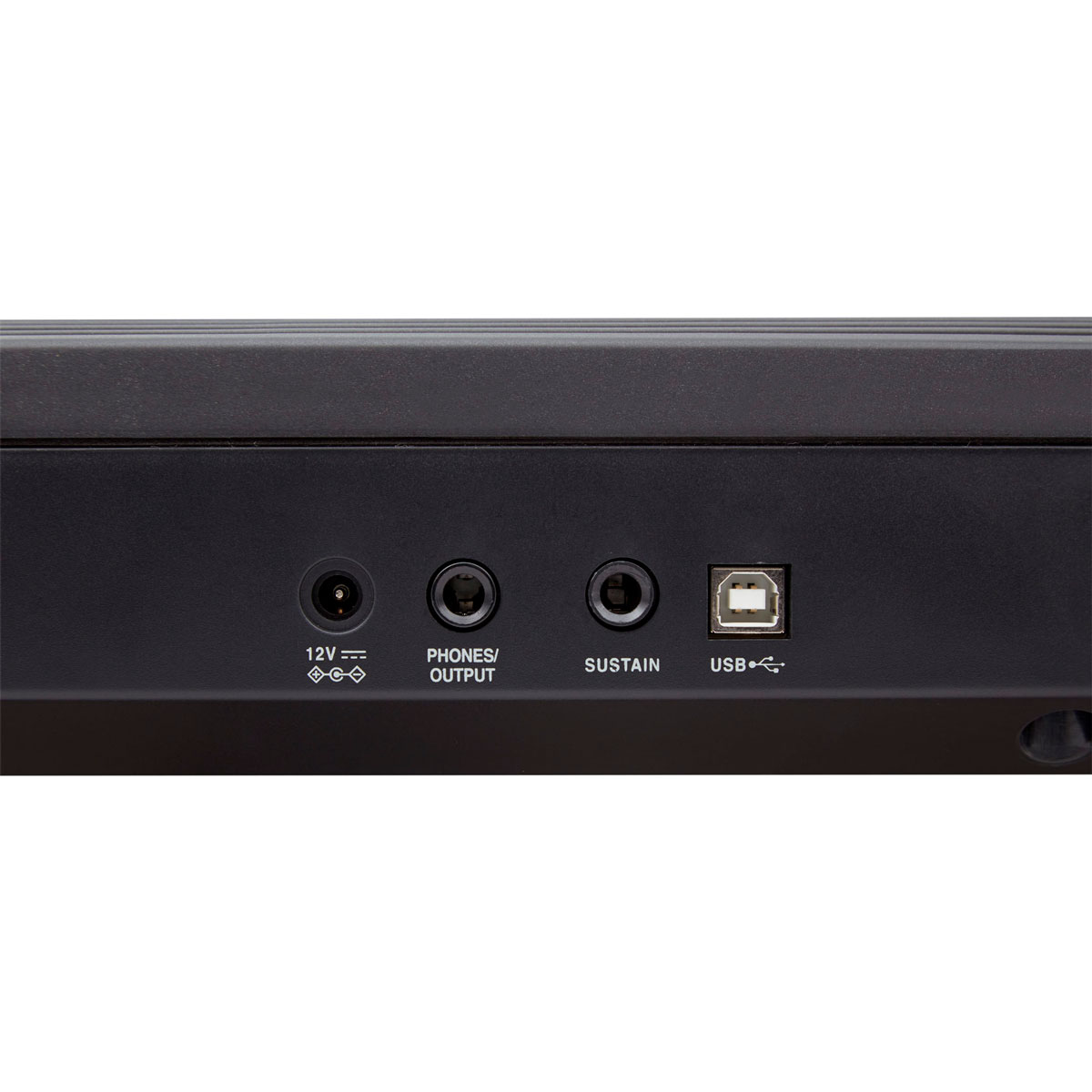 Conexiones traseras del Roland GO:PIANO88 Piano Digital