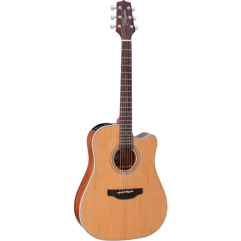 Takamine GD20CE-NS