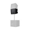 Arreglo Lineal con Subwoofer PreSonus CDL12P Altavoz Line Array