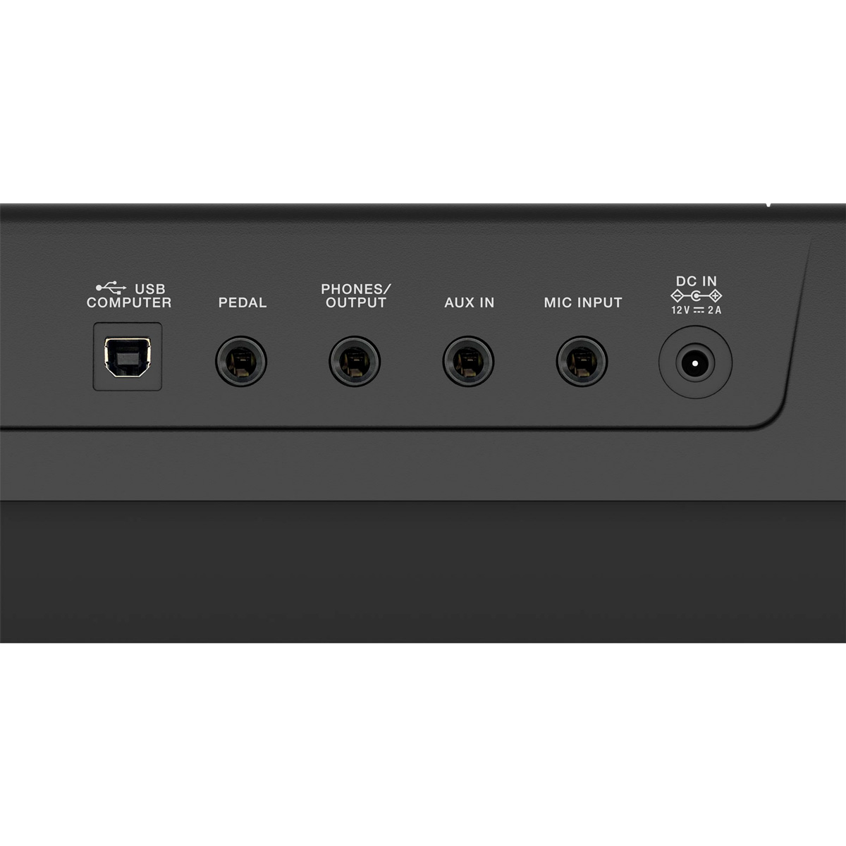 Conectores Roland E-X10 Teclado Arreglista